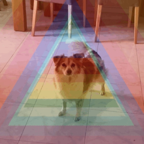 Meet your Posher, Dallia - Picture 1 of 1